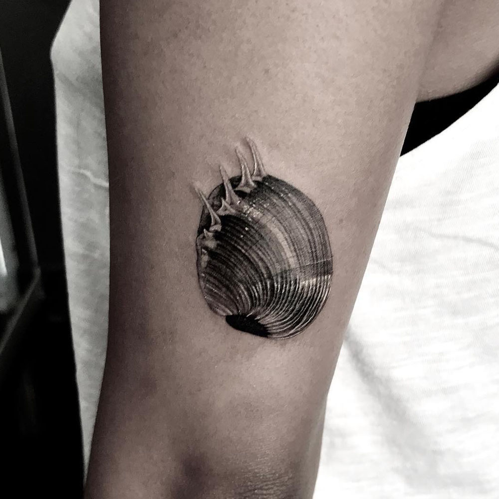 Update more than 159 simple seashell tattoo latest