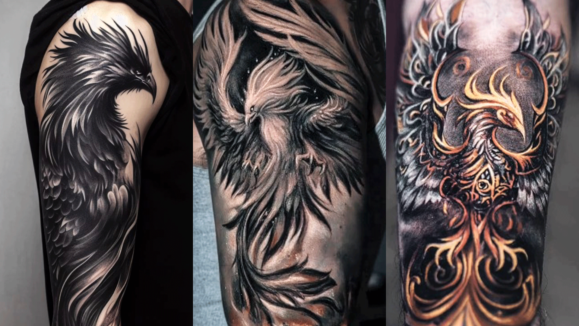 Phoenix Tattoo | Louis Santos Tattoo