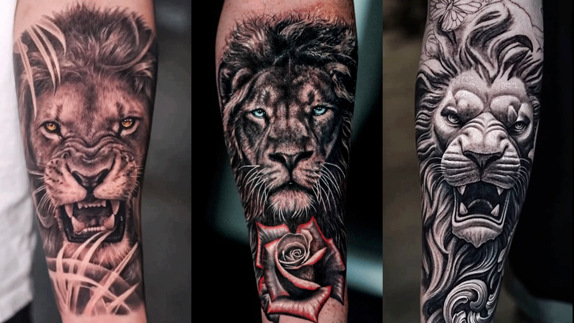 Tribal Lion Tattoos Images – Browse 42,135 Stock Photos, Vectors, and Video  | Adobe Stock
