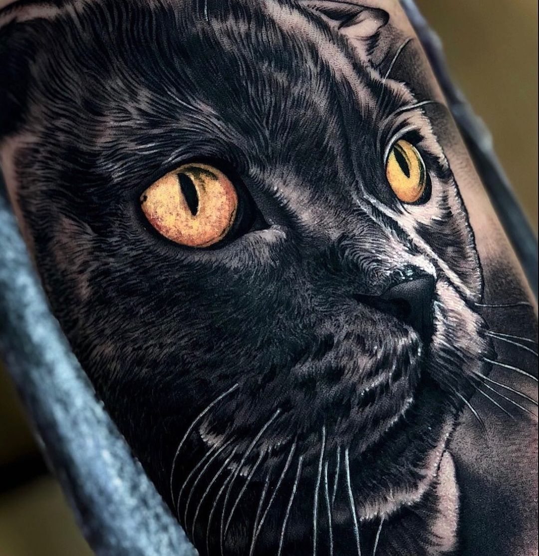Explore the 50 Best cat Tattoo Ideas (2018) • Tattoodo