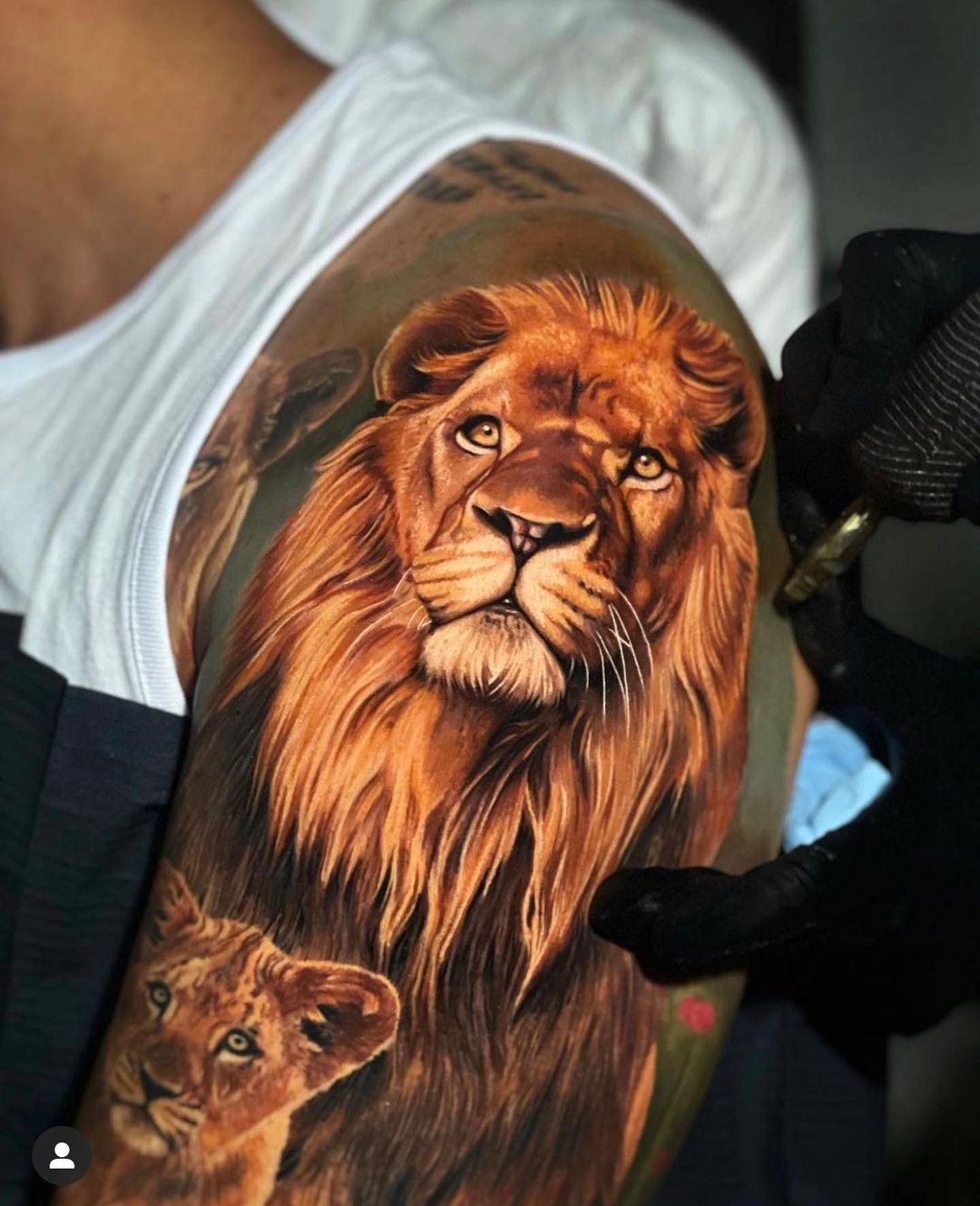 Lion Tattoo - Black and Grey by imarowski on DeviantArt