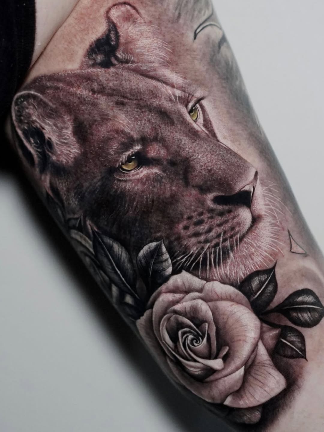 SaveClip.App 506361663 18052238024593927 2725297741039738628 n tattoo by Inknation Studio NYC.realism-tattoo-arm