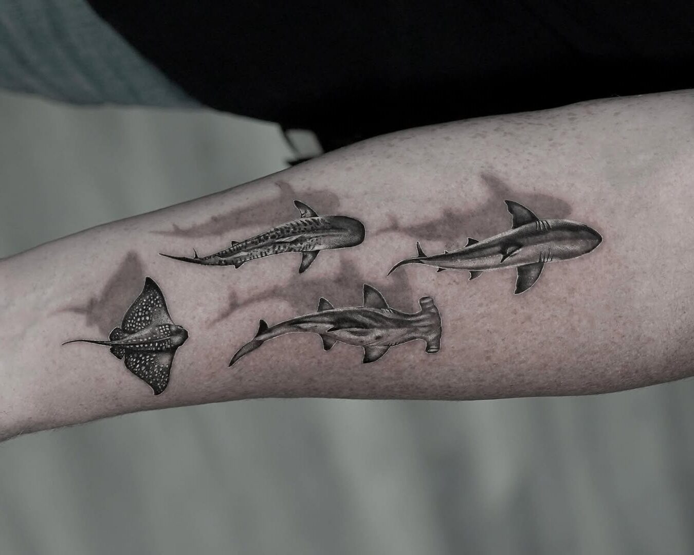 Black and grey realism multi shark tattoo on forearm with great white, hammerhead, whale shark, and manta ray, Inknation Studio