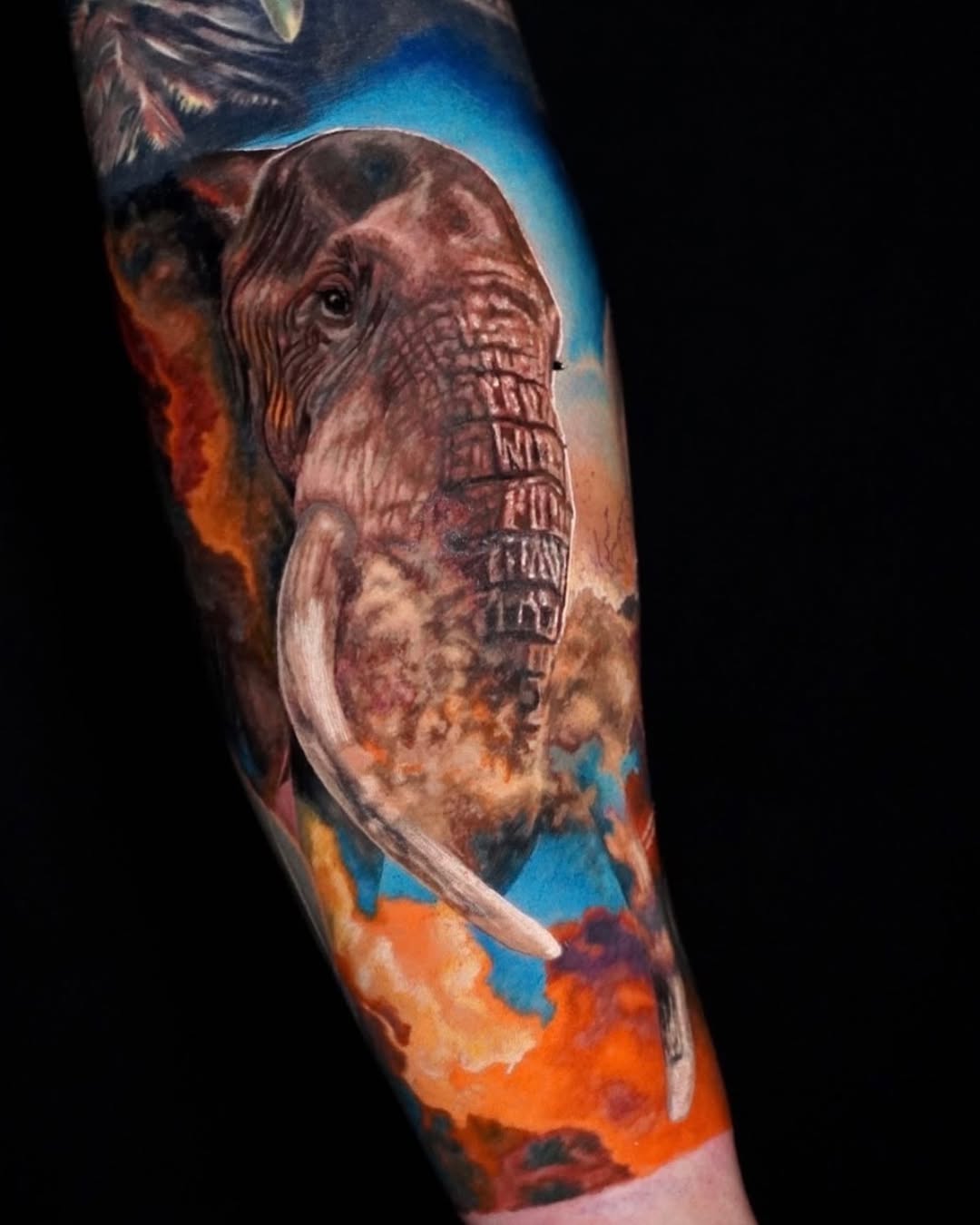Color realism elephant forearm sleeve tattoo with sunset sky background, strength symbolism, Inknation Studio NYC
