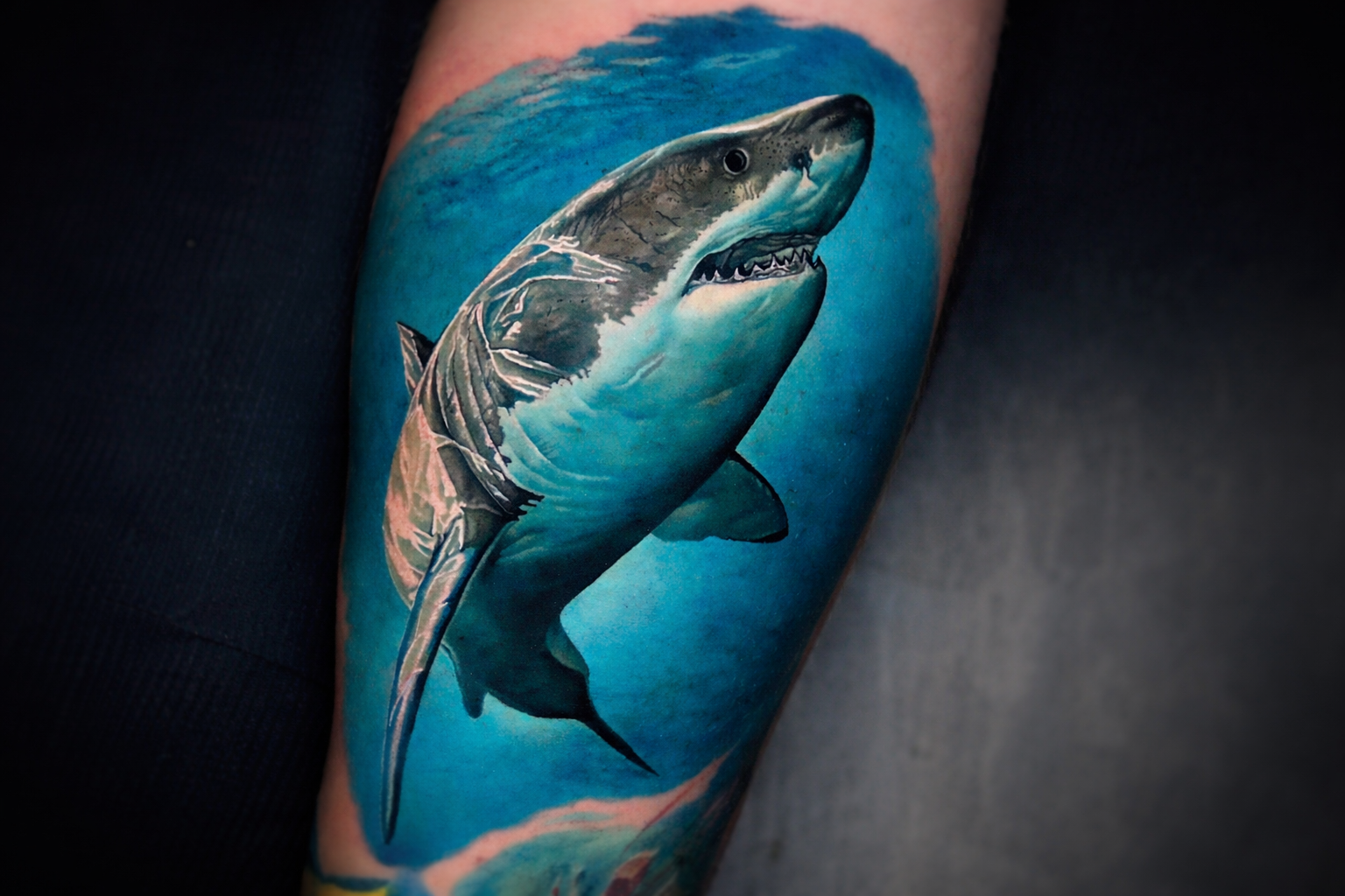 Color realism great white shark tattoo on forearm with turquoise ocean waves, Inknation Studio