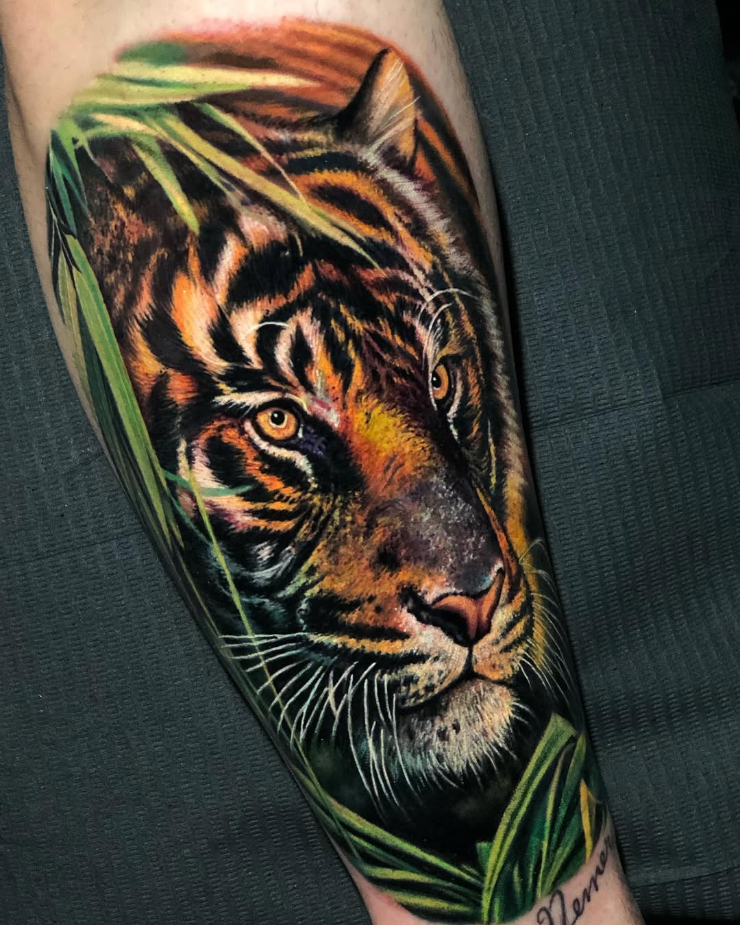 Color realism tiger forearm tattoo with yellow eyes and jungle background, strength symbolism, Inknation Studio NYC
