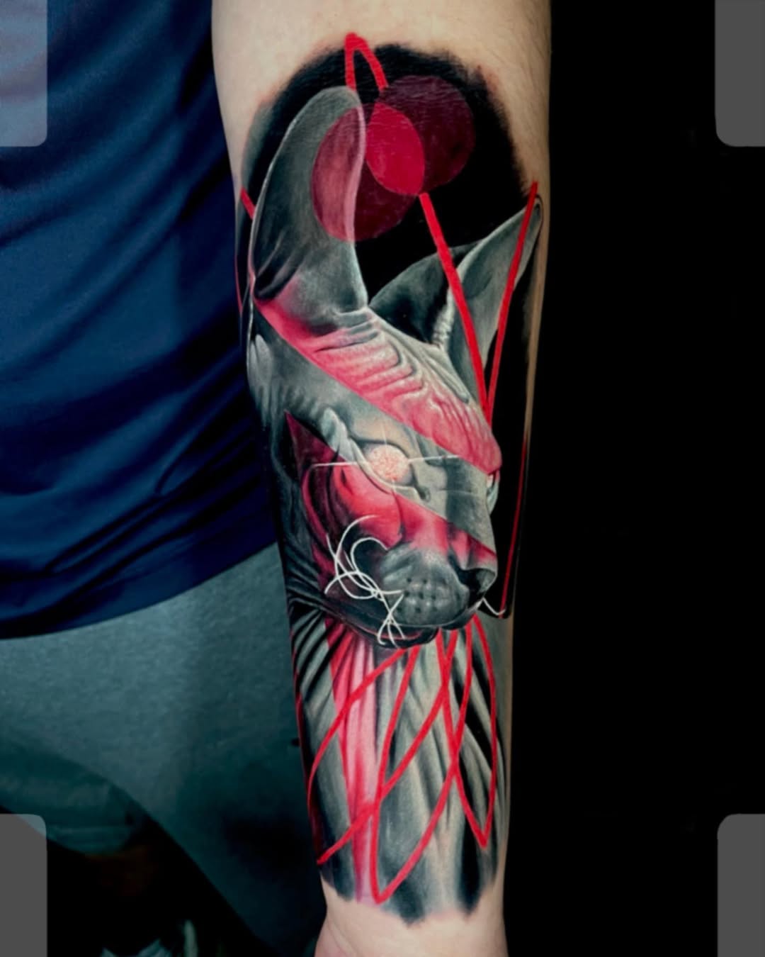 A striking Trash Polka forearm tattoo featuring a realistic black and grey Sphynx cat overlaid with bold red geometric lines and abstract circles, done at Inknation Studio NYC.